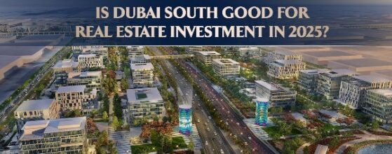 Who Should Invest in Dubai South?